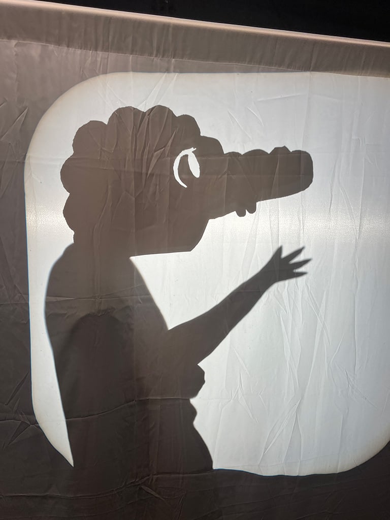 Exploring Shadow Masks and Silhouette